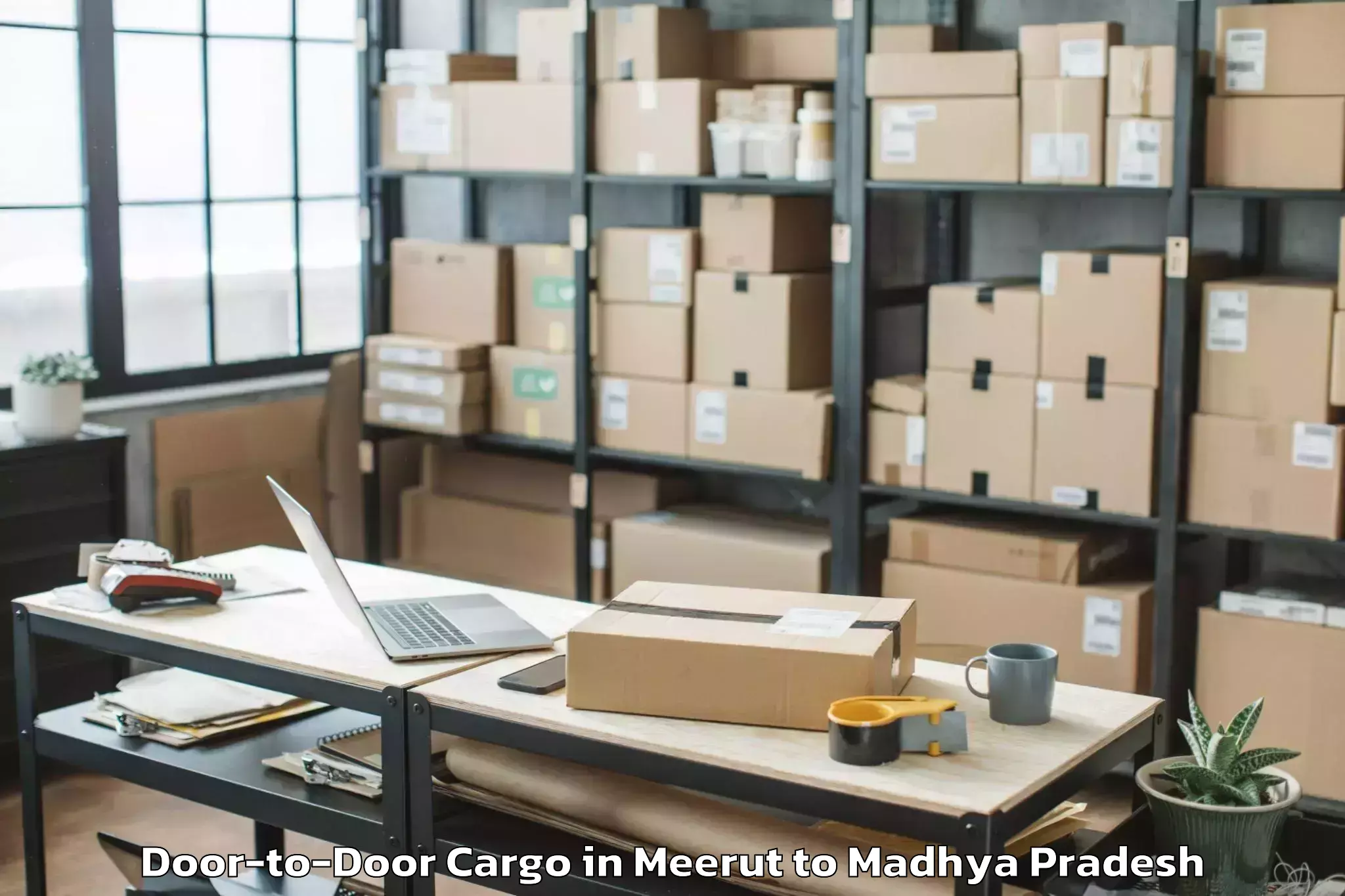 Professional Meerut to Rithi Door To Door Cargo